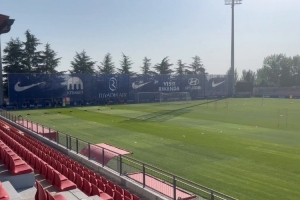 直播观看-记者：巴里奥斯正常训练&amp;吉梅内斯继续恢复，索尔洛特肌肉痉挛