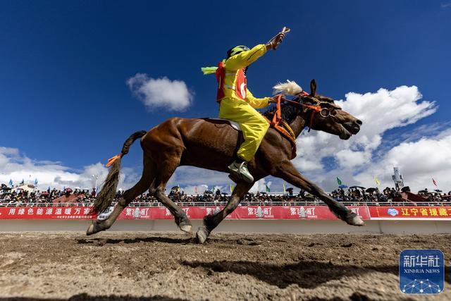 注册入口-高清大图带你看羌塘草原上的“民族风”竞技