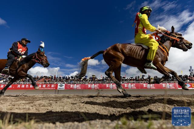 注册入口-高清大图带你看羌塘草原上的“民族风”竞技