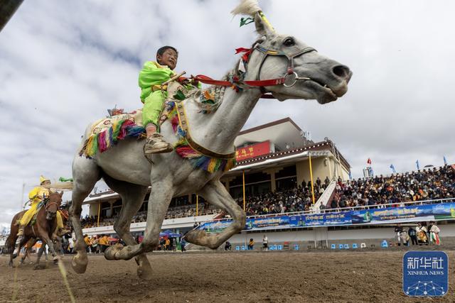 注册入口-高清大图带你看羌塘草原上的“民族风”竞技