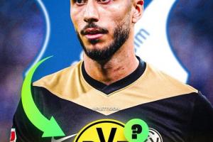 记者：多特、国米均有意霍芬海姆中场小将达马尔